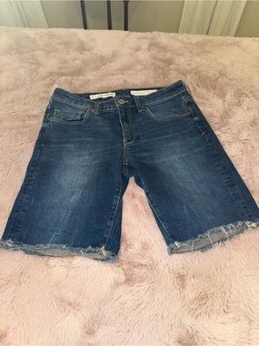 Anthropologie Pilcro Mid-Rise Blue Denim Shorts with Frayed Hem
